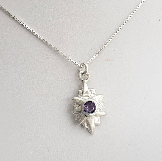 Medium Starburst Life Everlasting Pendant (Various Colors)